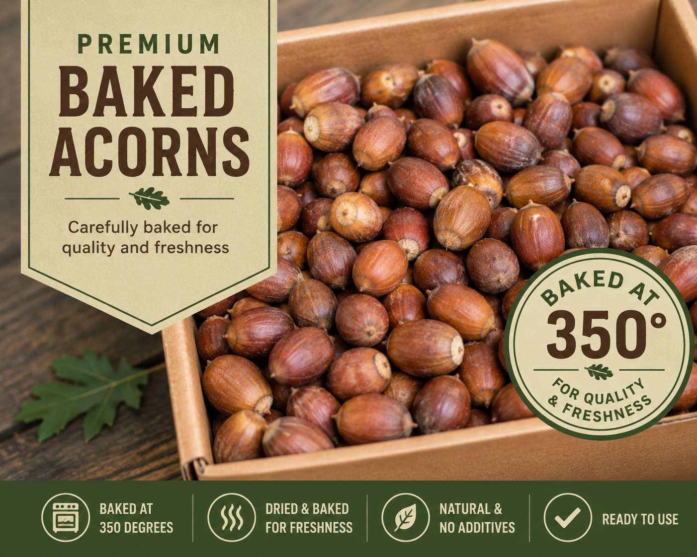 Baked Northern Red Oak Acorns