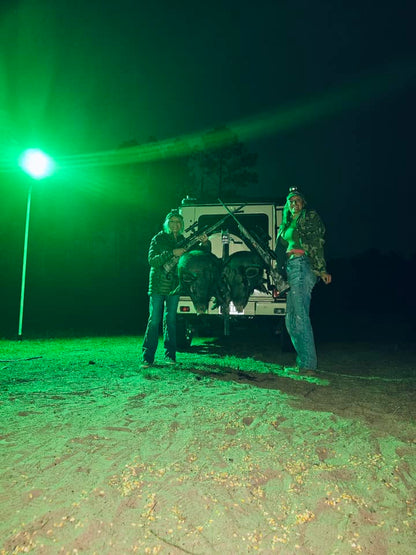 Solar Green Light for Hunting Hogs Deer,Fish light -15,000lumens